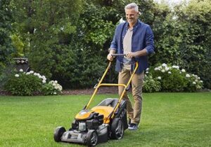 pedestrin mower devon
