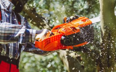 Chainsaws in devon