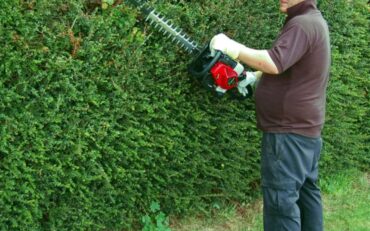 Hedgecutters East Devon