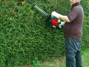 hedgecutters-east-devon Hedgecutters East Devon