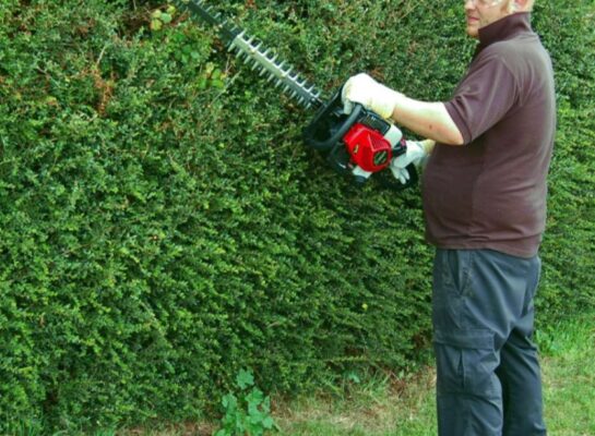 hedgecutters-east-devon Hedgecutters East Devon