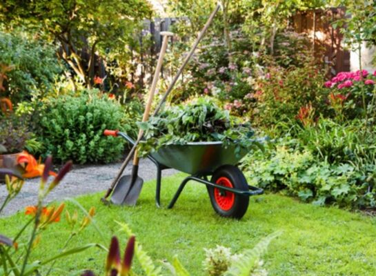 lawnmowers-exeter Lawnmowers Exeter